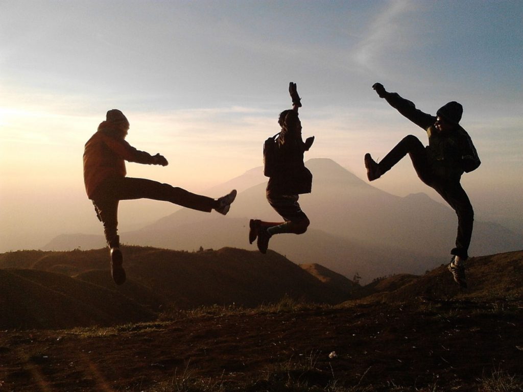 havefun Asso ALFA